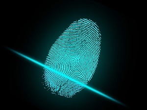 Screen Protectors Circumvent Fingerprint Security On Samsung Devices
