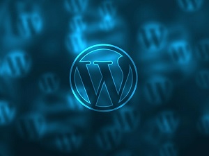 WordPress Loginizer Plugin Was Automatically Updated Due To Vulnerability